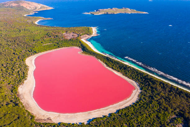 pink beach in australia