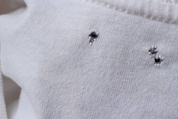 what causes tiny holes in cotton t shirts